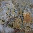 thumbs/E5D_5126.jpg